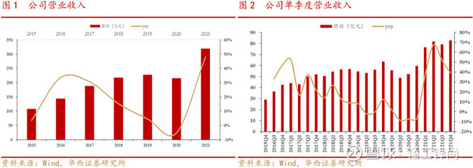 太陽紙業(yè) 業(yè)績(jī)穩(wěn)健增長(zhǎng)，林漿紙一體化戰(zhàn)略深化未來可期